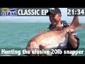 Hunting the elusive 20lb snapper