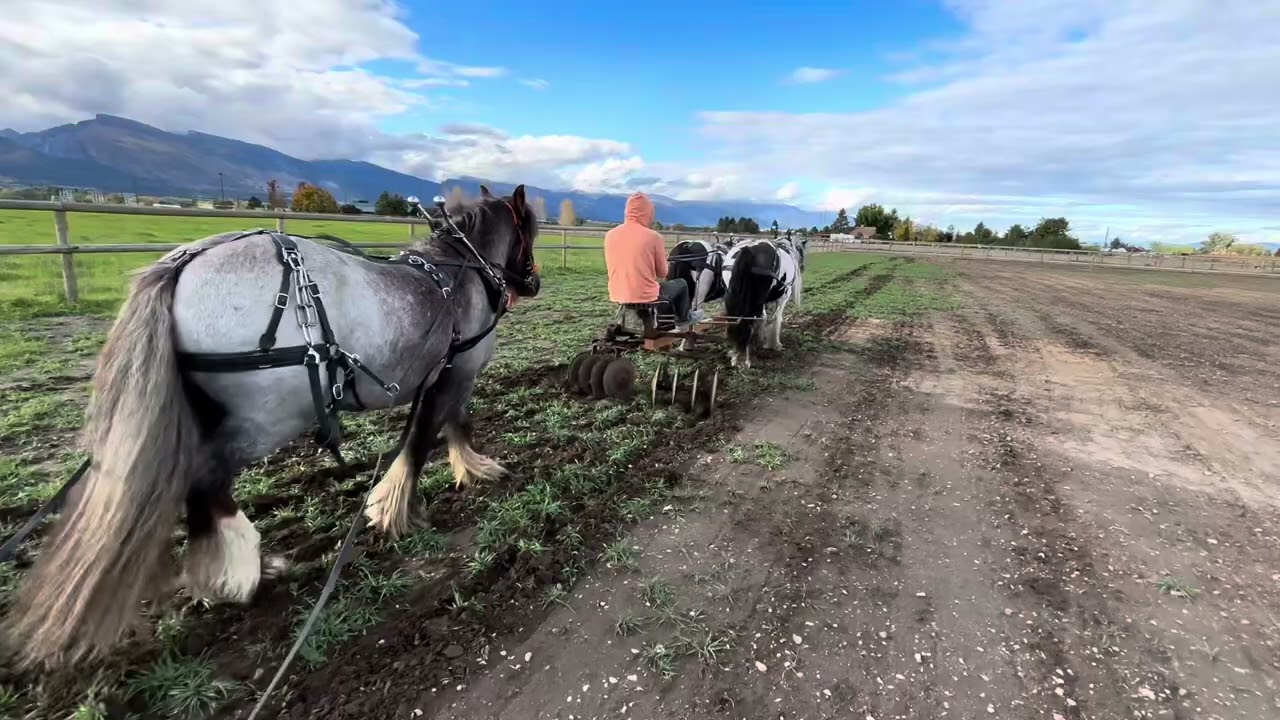 Team Disc with Tilly, Lilly and Aaron