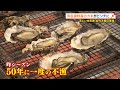 浜名湖の牡蠣が2年続いて不漁　前代未聞の事態に生産者は（静岡県）