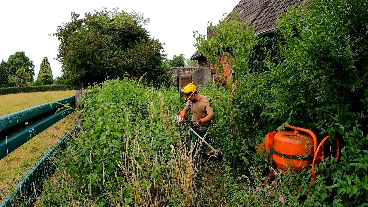The Owner Did NOT BELIEVE that this Overgrown Yard Could be Brought BACK TO LIFE