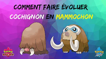 Quand évolue Marcacrin ?