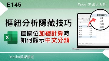 Excel 教學 E145 | 樞紐分析隱藏技巧，值欄位加總計算如何顯示中文分類 | Power Pivot | Meiko微課頻道