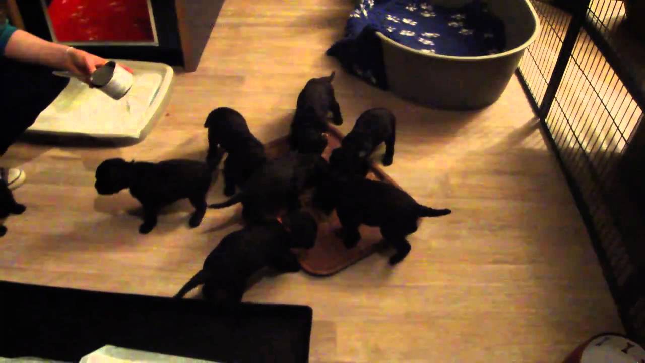 met zn allen! - YouTube