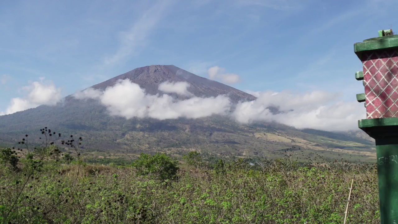 SAVE DWI - LOMBOK EARTHQUAKE