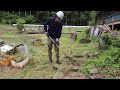牛小屋周りと鉄くず周りの草をナイロンコードで綺麗に刈る