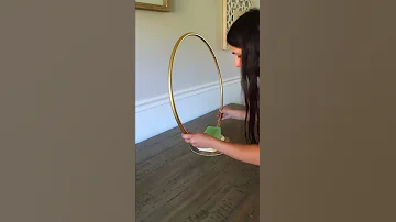 Grab A Dollar Tree HULA HOOP For This GENIUS Hack Shorts 
