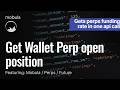 Get Perp position from any wallet in one api call | Mobula api