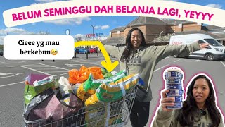 BELANJA LAGI BORONG TELOR 60!! TUNA, DAGING HALAL DANNNNN… BELİ TANAH BUAT BERKEBUN 🫣