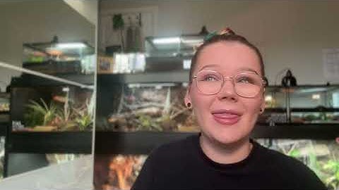 The ULTIMATE Bioactive Woma Python Enclosure... | Full Set Up and Walkthrough