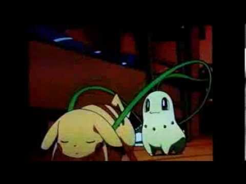 ポケモン ピカチュウをどかしてサトシと添い寝をするチコリータ Pikachu Chikorita Youtube