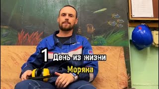 🚢Блог моряка | меню за день, утилизация мусора на пароходе