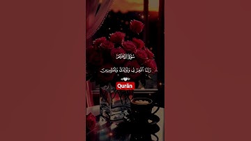 سورة إبراهيم رَبِّ اجْعَلْنِي مُقِيمَ الصَّلَاةِ وَمِنْ ذُرِّيَّتِي رَبَّنَا وَتَقَبَّلْ دُعَاءِ 🤍