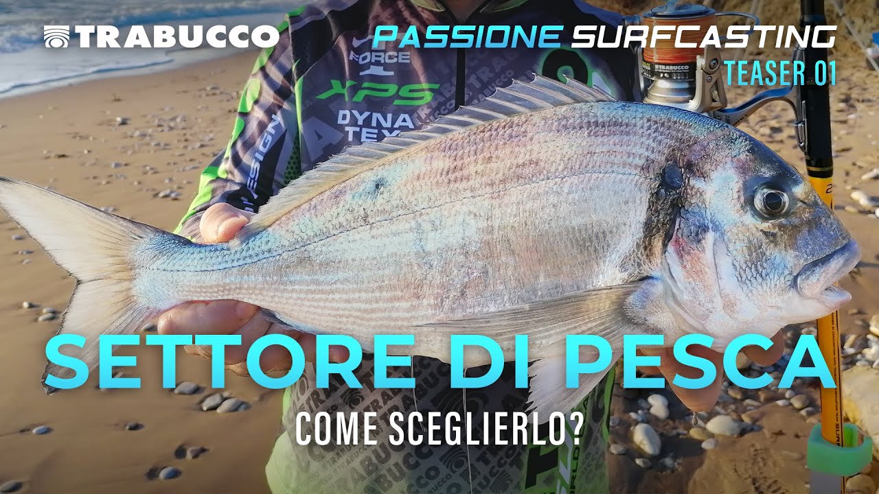 SURFCASTING: COME scegliere il SETTORE di pesca? » Passione SURFCASTING S5E1 