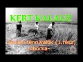 Júniusi kerti tennivalók (1.rész)-uborka-