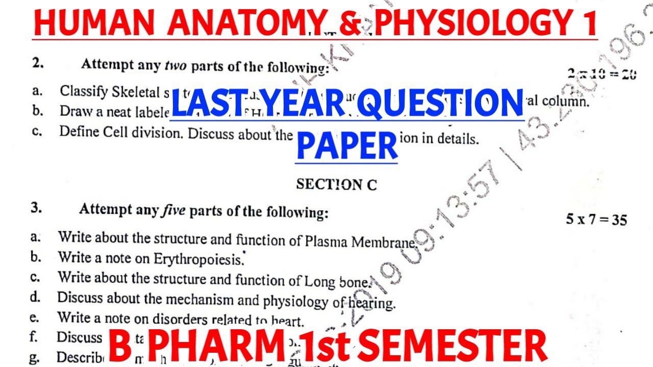 Human Anatomy and physiology 1st semester question paper || Hap 1st ...