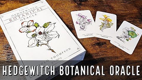 Hedgewitch Botanical Oracle Unboxing and Flip Through