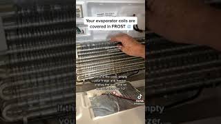 Why Isn’t Your Fridge Cold? Your Evaporator Coils Could Be Covered in Frost | FIX.com