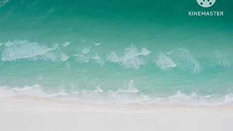 foreign archival of a girls anomaly 2008