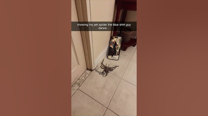 spider does the blue shirt guy dance...  #shorts