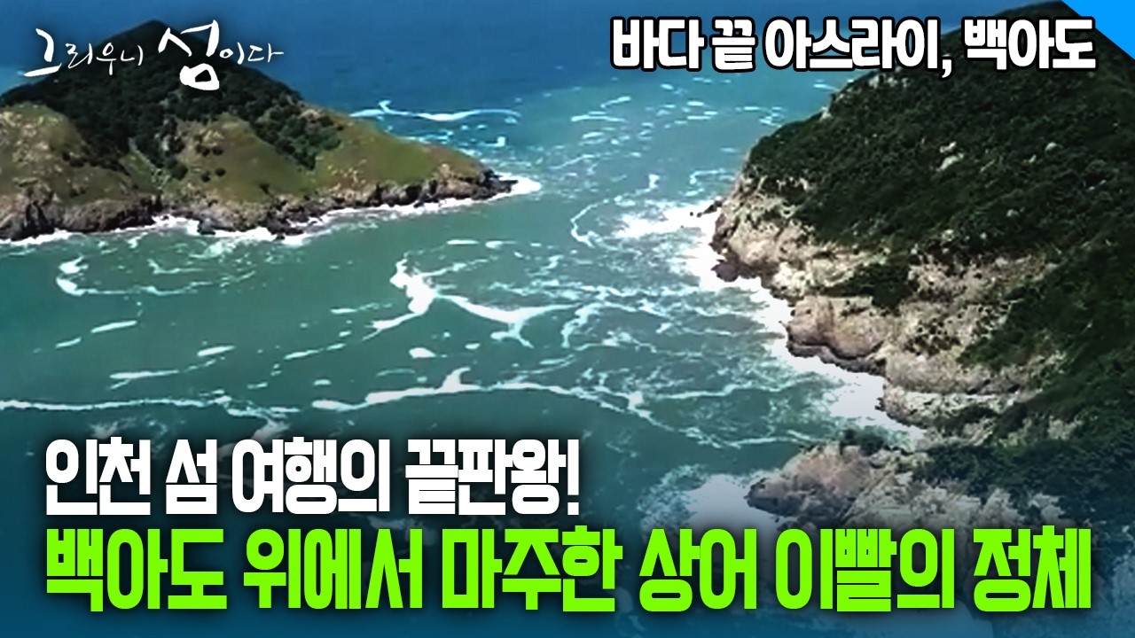 인천 섬 여행의 끝판왕! 백아도 위에서 마주한 상어 이빨의 정체 [그리우니 섬이다]