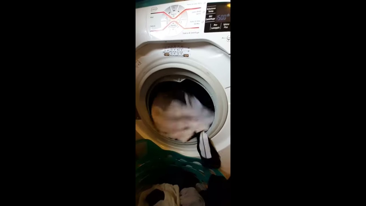 Hoover DXT4 57AH 1 30 Very Unbalanced Open Door Spin 
