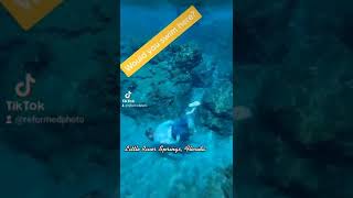 Would You Swim Here?