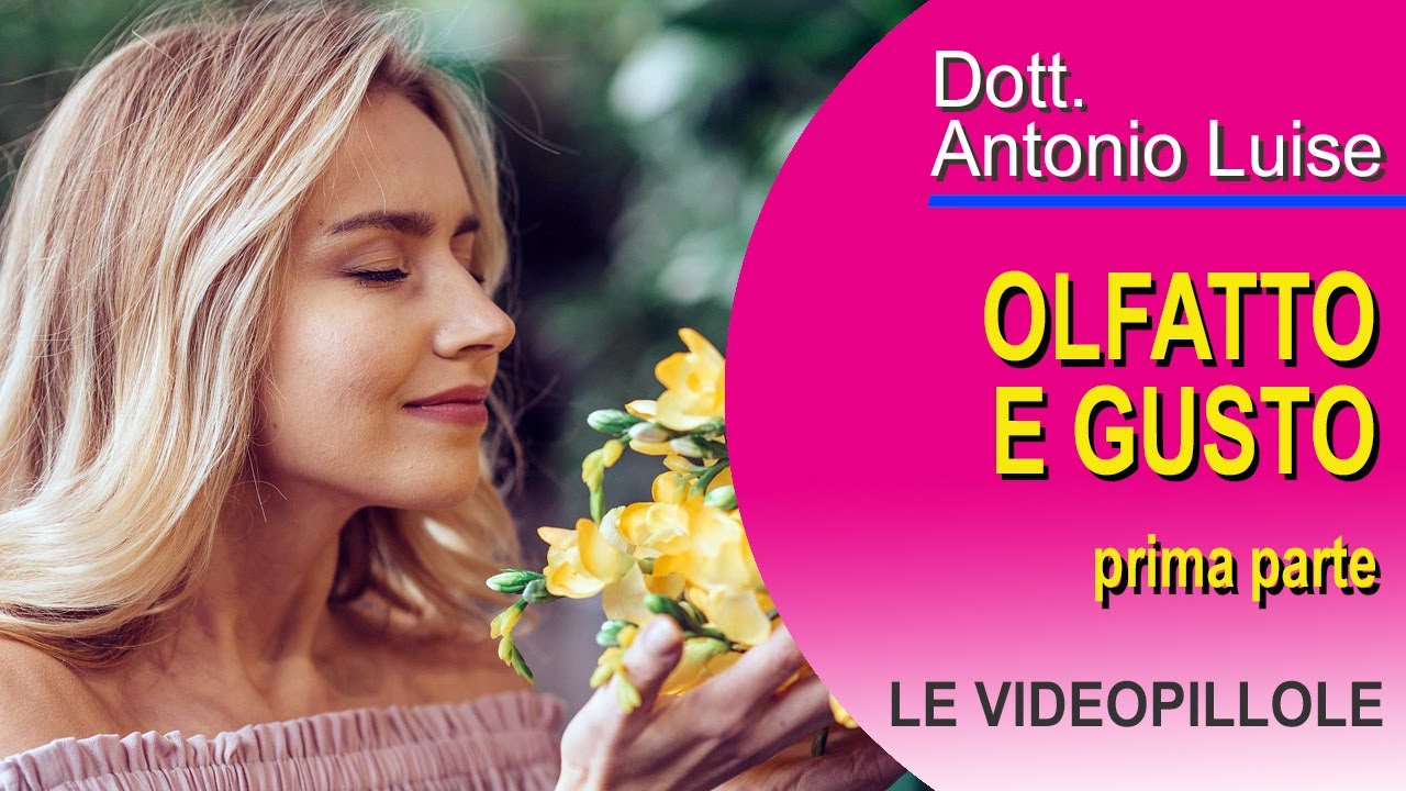Olfatto e Gusto (I°Parte)