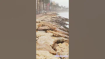 اجمل اغنيه تركيه مع ارتفاع موج البحر 
