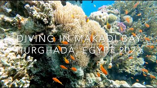Bubbles and Beyond - 4K - Red Sea Egypt Makadi Bay - January 2023