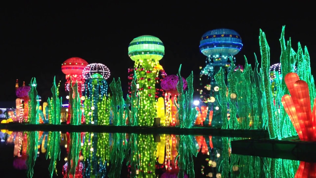 Парк забиль в дубае