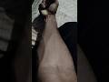 my arms💪💥#my #armsworkout #gymworkout #gymmotivation #gymlife #shorts