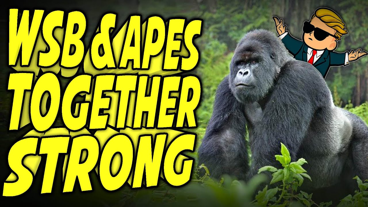 Apes Together Strong WallStreetBets AllIn on Gorillas! YouTube