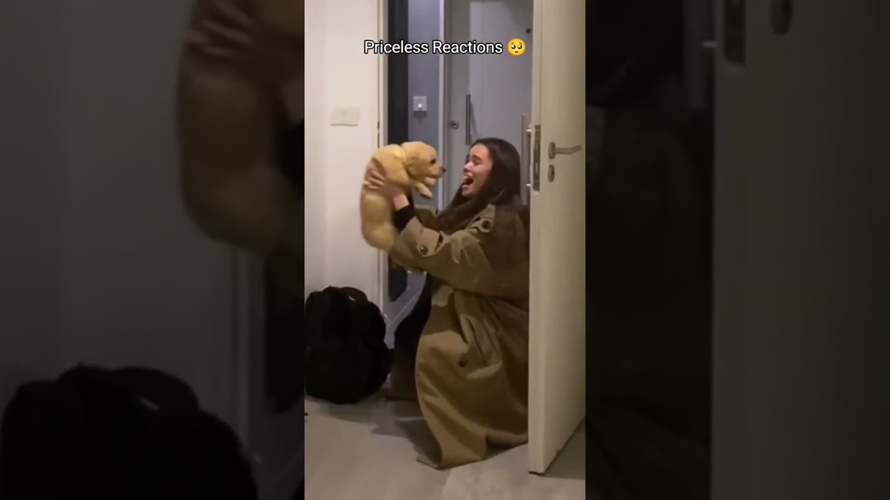 Tearful Puppy Surprising Moments That Will Warm Your Heart