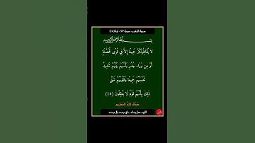 سورة الحشر - سورة 59 - اية 14