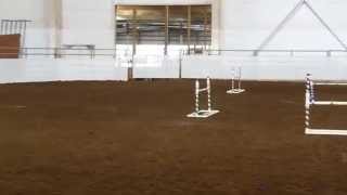 Mini Horses Amha Championship - Youth Jumpers 1