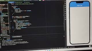 Flutter App development