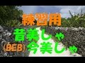 『昔美しゃ 今美しゃ/BEGIN』うた&三線 練習用動画(キー低め)