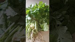 पालक और सरसों का साग रेसिपी, palak sarson ka recipe shots youtube viral