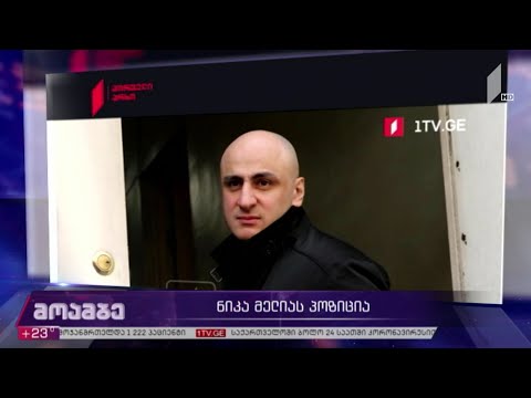 ნიკა მელიას პოზიცია