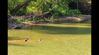Living in Bryant, AR: The Ultimate Local Guide | Homes.com