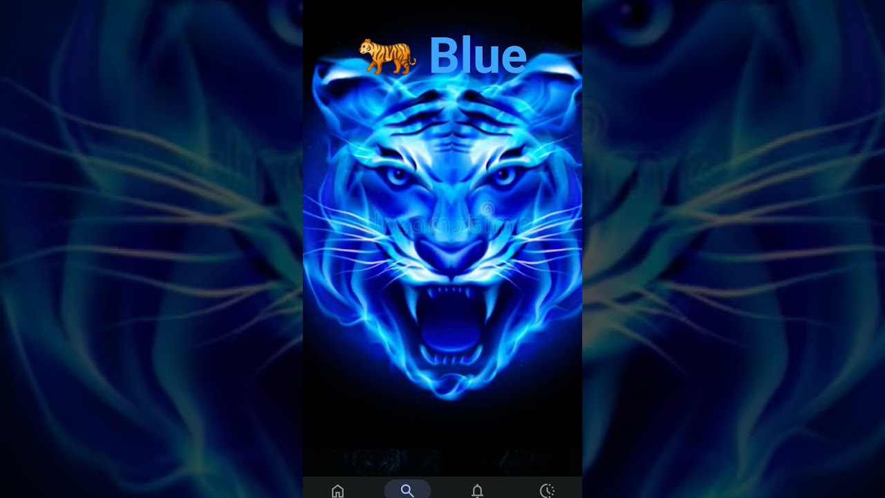 28 de agosto de 2025