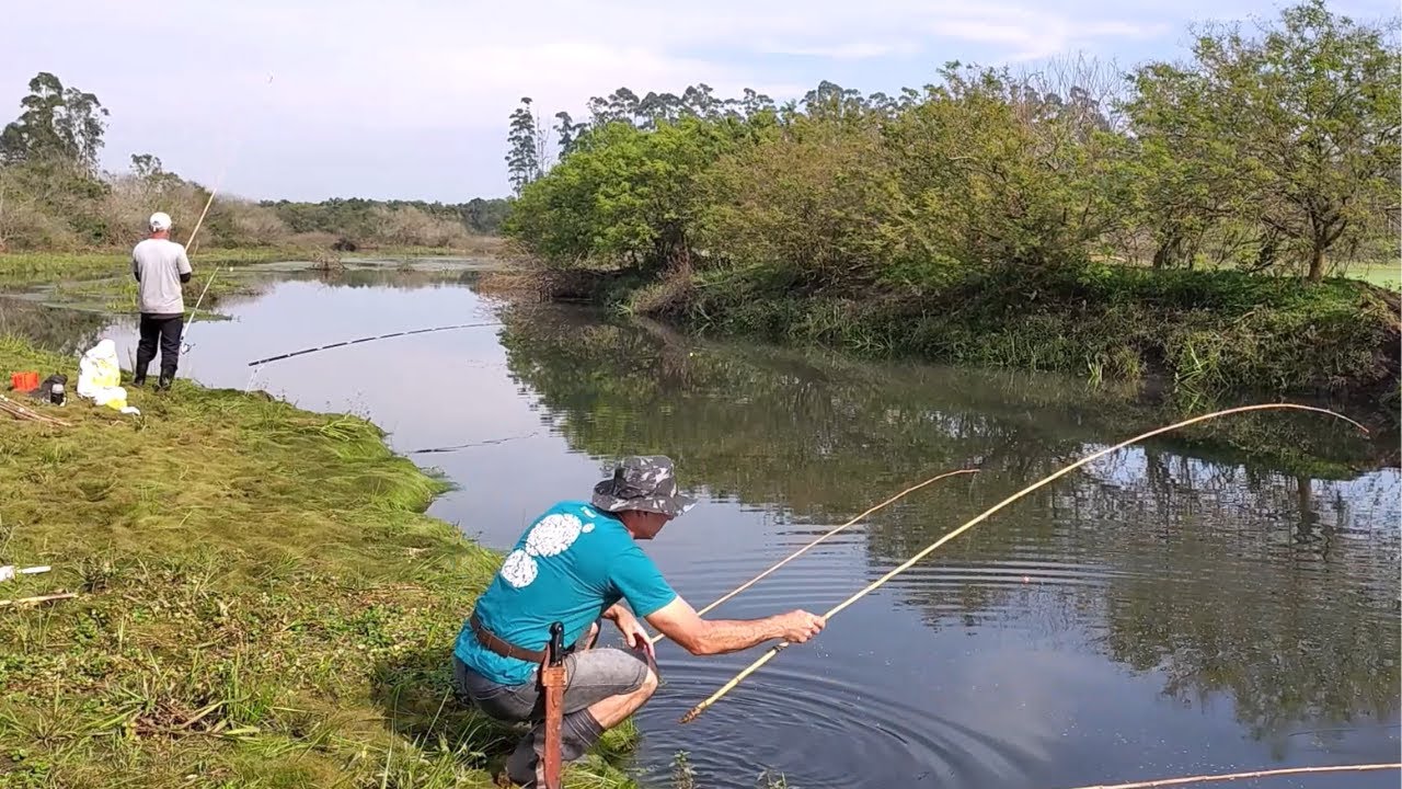 Pescaria, OS PEIXES APARECERAM COM TUDO! A PRIMAVERA CHEGOU E AS BRUTAS SE ALVOROÇARAM