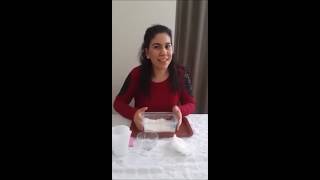 Fasülye Çimlendirme Deneyi Yapıyoruz 8 Nisan 2020