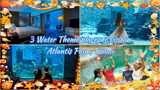 3 Water Theme Places To Visit In Atlantis Palm,Dubaiaquaventure Water Park Lost Chambers Aquarium