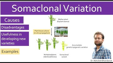 What is Somaclonal variation (plant tissue culture)? Causes, Disadvantages, Advantages, Examples.