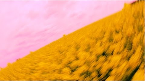 What Reality Are You Creating For Yourself?