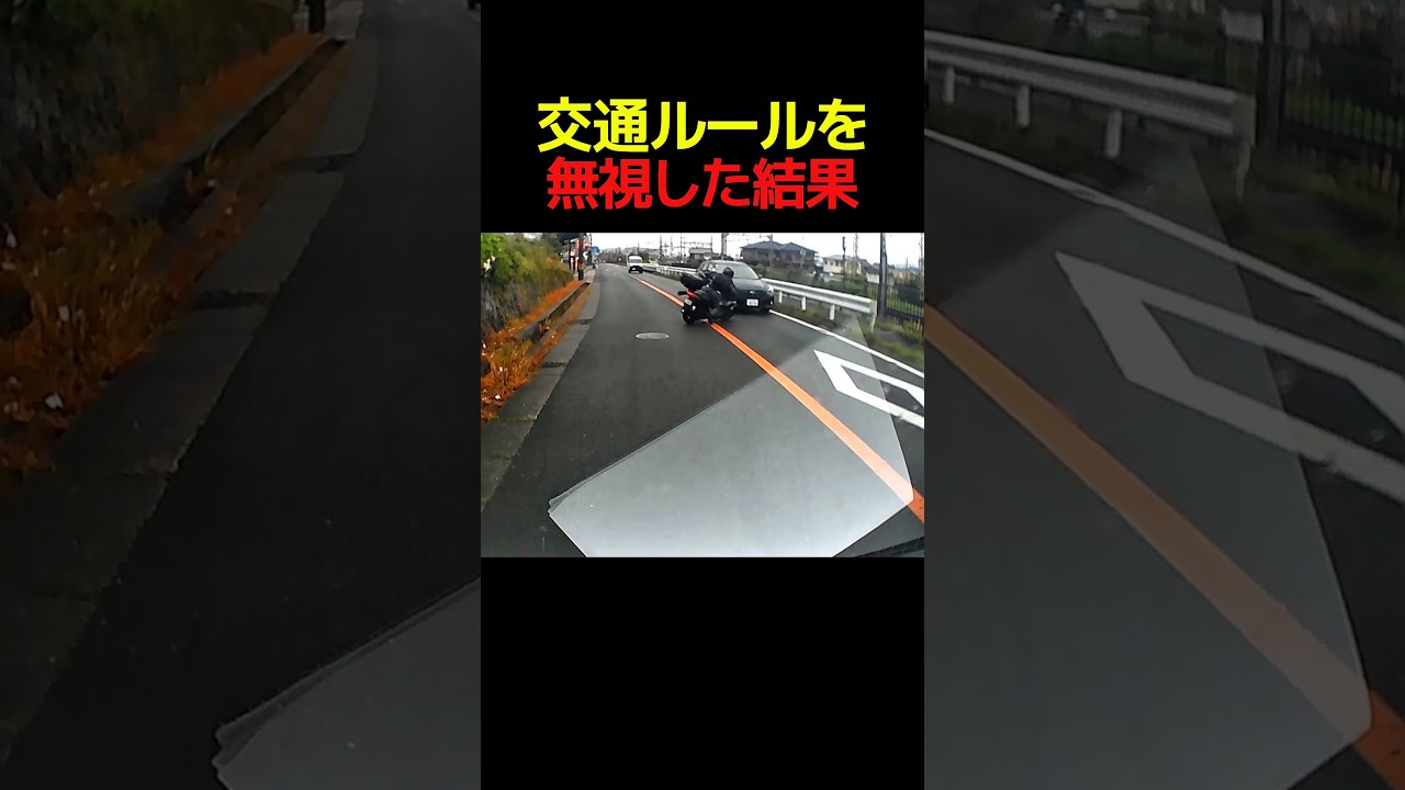 交通ルールを無視した結果... #すごい #解説 #バイク