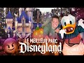 Vlog 22  halloween  disneyland resort en californie  haunted mansion holiday  tiana palace