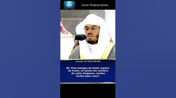 Sourate An-Nahl سورة النحل Versets 68 a 69 par Yassir al Dossari ياسر الدوسري