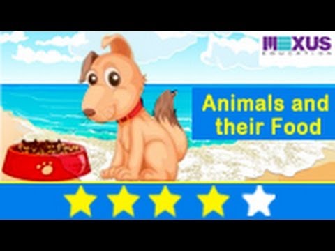 Learn Biology - Animals and Their Eating Habits - YouTube